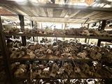 Суппорты на все машины за 1 000 тг. в Актобе – фото 2