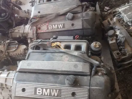 Двигатель M54B25 2.5 Bivanos BMW E46 за 300 000 тг. в Шымкент