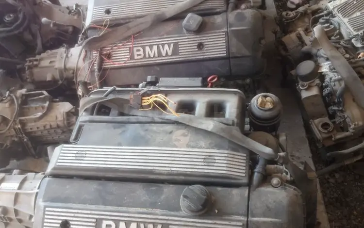 Двигатель M54B25 2.5 Bivanos BMW E46үшін300 000 тг. в Шымкент