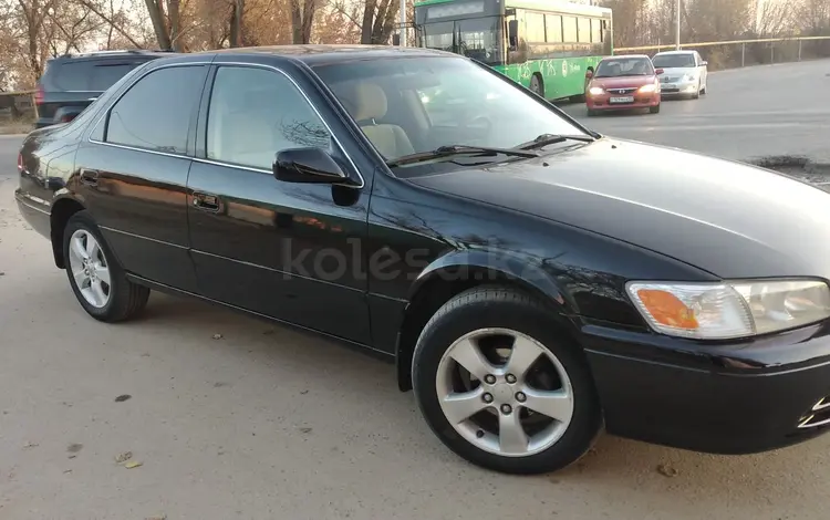 Toyota Camry 2000 года за 3 600 000 тг. в Алматы