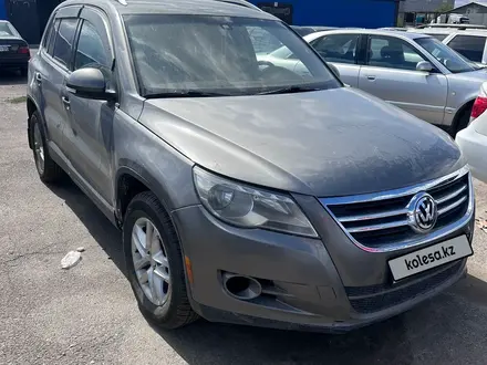 Volkswagen Tiguan 2011 года за 3 800 000 тг. в Алматы