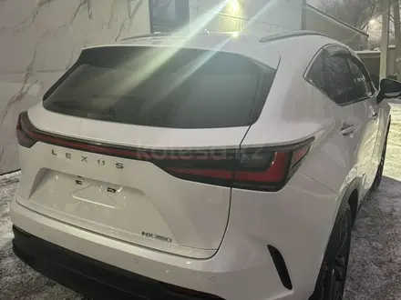 Lexus NX 250 2024 года за 30 700 000 тг. в Актобе – фото 6