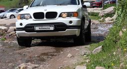 BMW X5 2002 годаүшін4 000 000 тг. в Алматы – фото 5