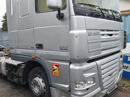 DAF  XF 105 2012 года за 13 700 000 тг. в Шымкент