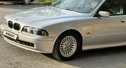 BMW 528 1999 годаүшін3 400 000 тг. в Кызылорда – фото 2