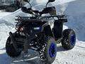  XTR TOURING 250 2024 годаүшін760 000 тг. в Караганда