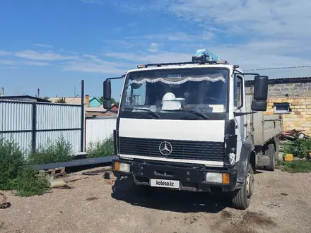 Mercedes-Benz 1993 года за 16 000 000 тг. в Караганда