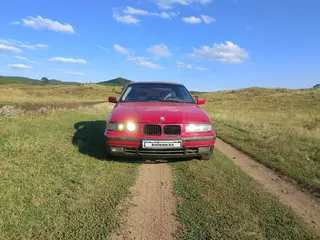 BMW 3 Series, 1993