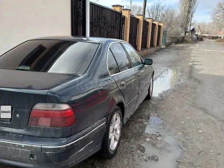 BMW 523 1998 года за 2 500 000 тг. в Алматы – фото 11