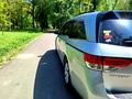 Honda Odyssey 2014 года за 7 590 000 тг. в Тараз – фото 4