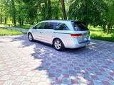 Honda Odyssey 2014 года за 7 590 000 тг. в Тараз – фото 5