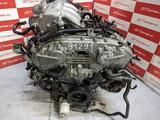 NISSAN МОТОР/ДВИГАТЕЛЬ за 250 000 тг. в Алматы