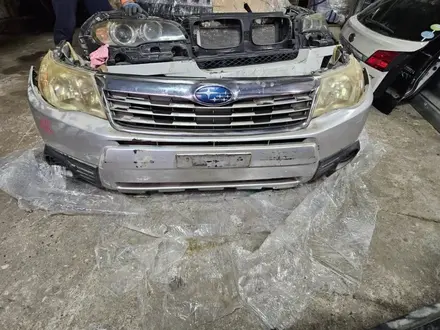 Ноускат, носик, носкат, мини морда форестер sh5 SH за 395 000 тг. в Караганда