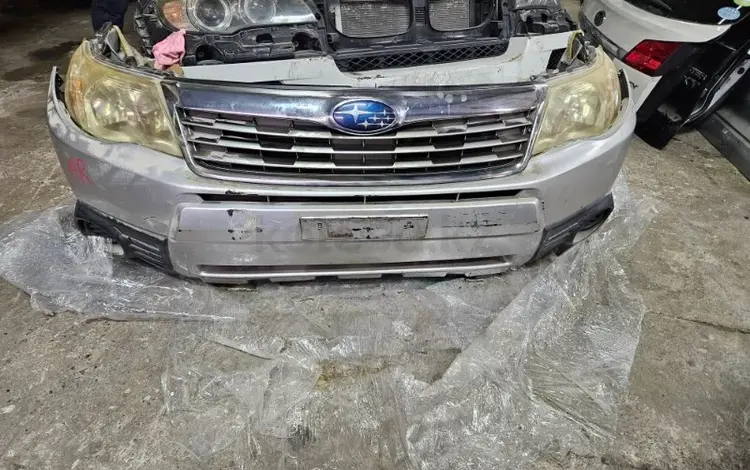 Ноускат, носик, носкат, мини морда форестер sh5 SH за 395 000 тг. в Караганда