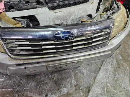 Ноускат, носик, носкат, мини морда форестер sh5 SH за 395 000 тг. в Караганда – фото 3