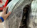 Nissan X-Trail 2001 года за 4 400 000 тг. в Алматы – фото 32