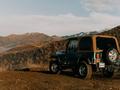 Jeep Wrangler 1995 годаүшін5 400 000 тг. в Алматы – фото 13