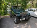 Jeep Wrangler 1995 года за 5 400 000 тг. в Алматы