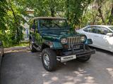Jeep Wrangler 1995 годаүшін5 400 000 тг. в Алматы
