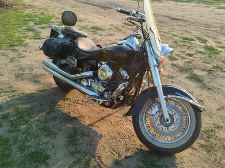 Yamaha  XVS650 2004 года за 2 399 000 тг. в Костанай