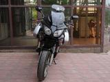 Honda  CBF 1000 2006 годаүшін3 200 000 тг. в Шымкент – фото 3