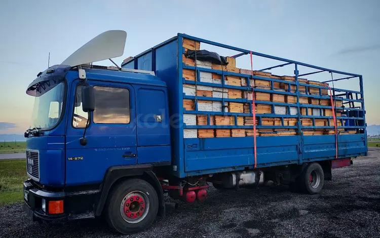 MAN  14 1994 годаүшін7 500 000 тг. в Алматы