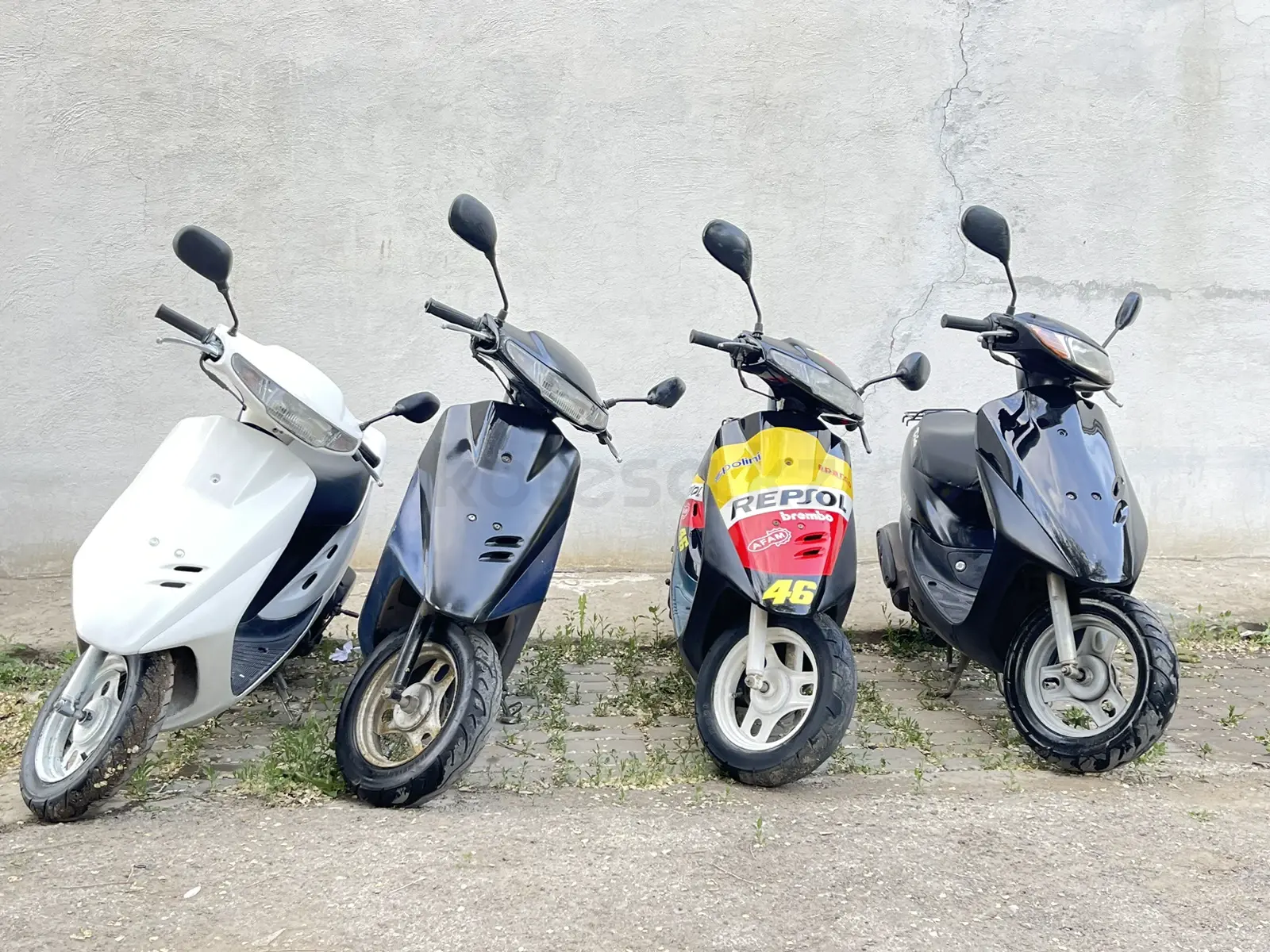 Купить Скутер В Гродно В Рассрочку Цены