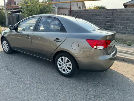 Kia Cerato 2012 года за 5 500 000 тг. в Алматы – фото 2