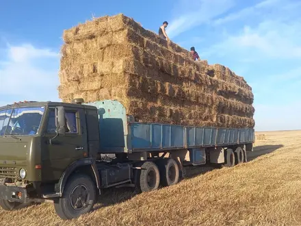 КамАЗ 1993 года за 5 500 000 тг. в Астана – фото 2