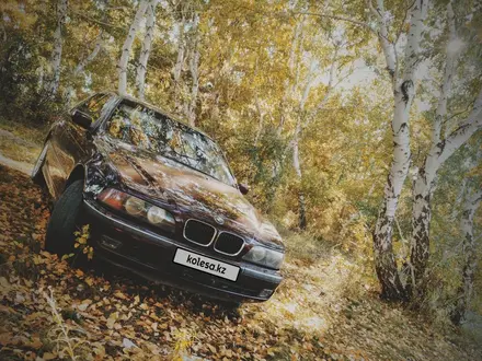 BMW 523 1996 года за 3 000 000 тг. в Костанай