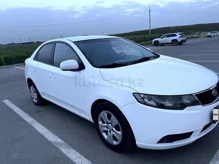 Kia Cerato 2010 года за 3 780 000 тг. в Алматы – фото 11