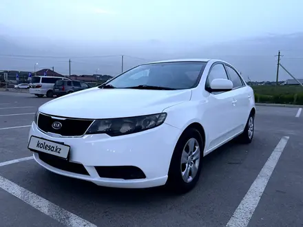 Kia Cerato 2010 года за 3 780 000 тг. в Алматы