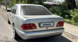 Mercedes-Benz E 240 1998 года за 3 500 000 тг. в Алматы – фото 3