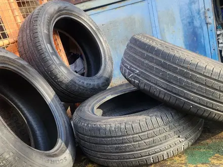 Пирелли за 160 000 тг. в Алматы – фото 3