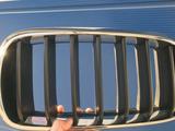 Решётки радиатора, ноздри BMW x5 за 28 000 тг. в Караганда