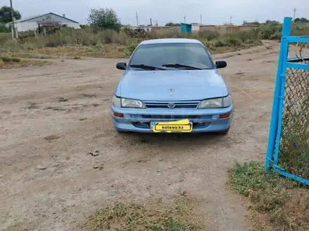 Toyota Corolla 1996 года за 1 600 000 тг. в Семей