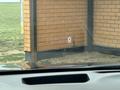 Lexus RX 350 2011 годаүшін10 500 000 тг. в Костанай – фото 17