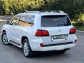 Lexus LX 570 2008 года за 17 950 000 тг. в Алматы – фото 8