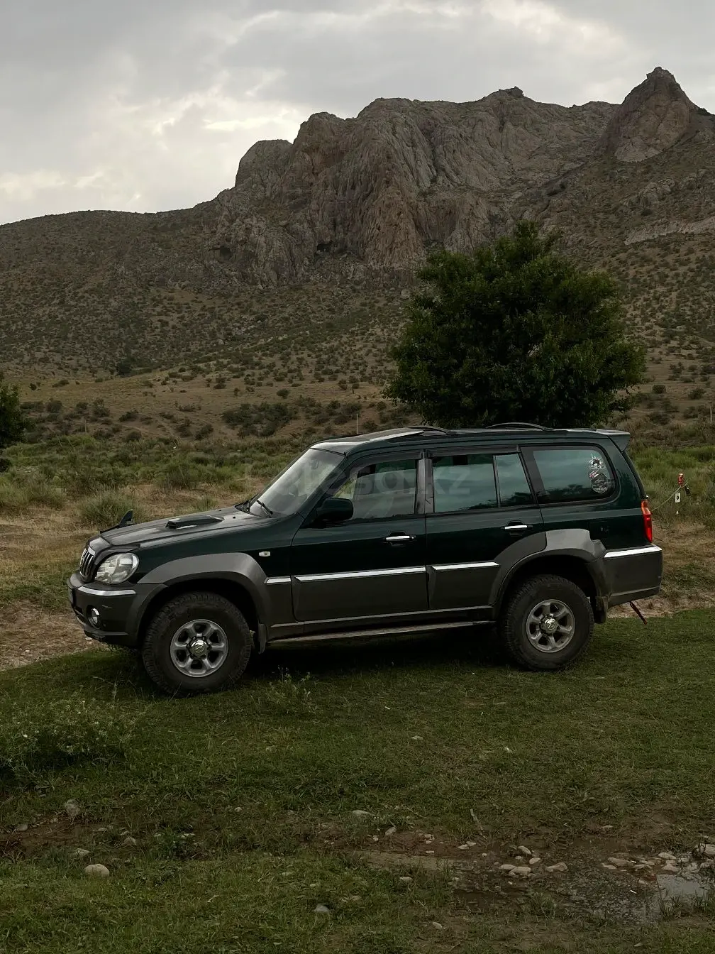 Hyundai Terracan, 2001