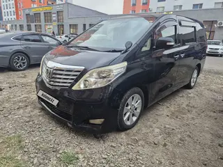 Toyota Alphard, 2010