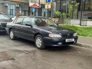 Nissan Maxima
