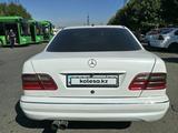 Mercedes-Benz E 55 AMG 2002 года за 5 000 000 тг. в Алматы – фото 3