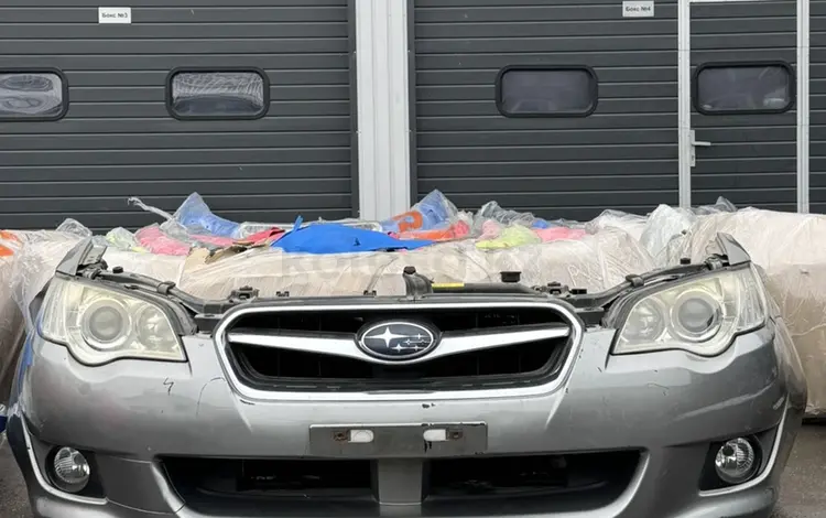 Ноускат за 1 000 тг. в Шымкент