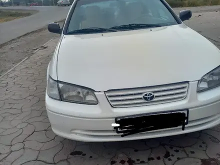 Toyota Camry 2000 года за 3 100 000 тг. в Алматы