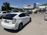 Toyota Prius 2010 годаүшін5 700 000 тг. в Алматы – фото 4