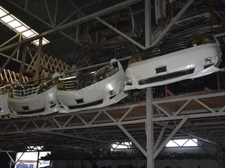 Ноускат мини морда на Alphard 1 поколение за 220 000 тг. в Тараз – фото 7