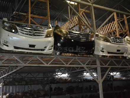Ноускат мини морда на Alphard 1 поколение за 220 000 тг. в Тараз – фото 8