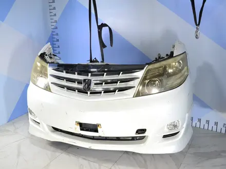 Ноускат мини морда на Alphard 1 поколение за 220 000 тг. в Тараз