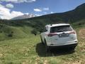 Toyota RAV4 2019 года за 15 500 000 тг. в Шымкент – фото 19
