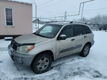 Toyota RAV4 2003 года за 4 500 000 тг. в Алматы – фото 2